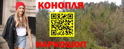 стафф Будённовск