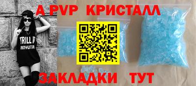 стафф Будённовск