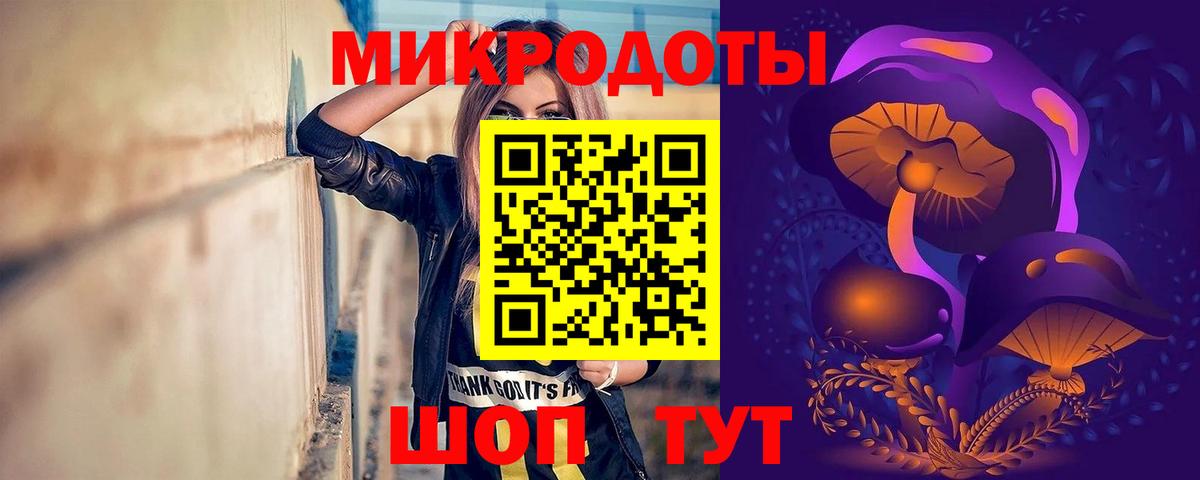 Псилоцибиновые грибы мицелий Торжок