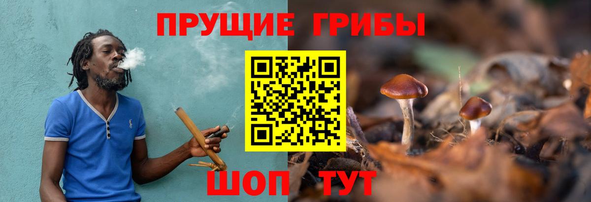 Торжок  Псилоцибиновые грибы Magic Shrooms  Вход с VPN 
